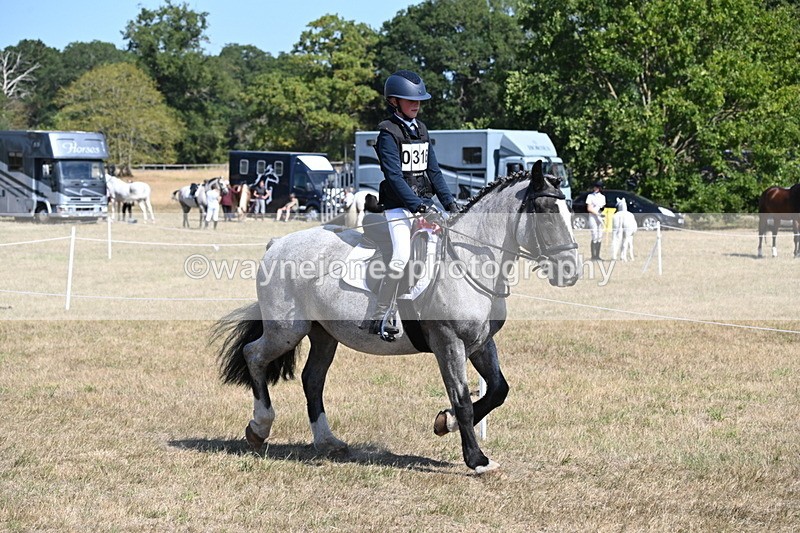 WJ6_9192 - Championship Classes 33-38