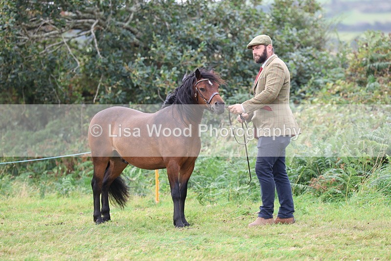 3E7A4580 - Class 16: Best Grass Kept