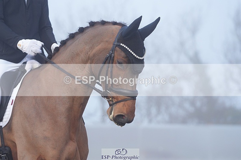 260213-092008-00558 - 004-Joe.Roome