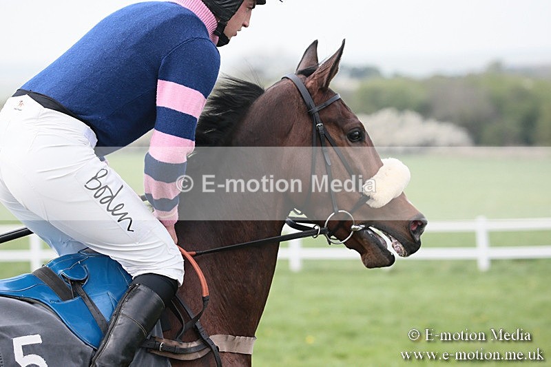 PtP 210418 319 - South & West Wilts Point-to-Point Larkhill 21/04/18