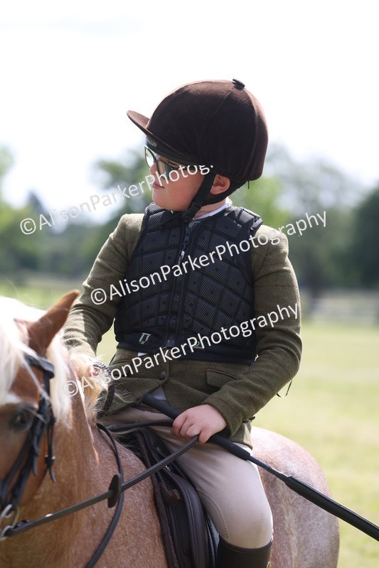 20260614-0738 - Class 20 - Beginners Working Hunter Pony