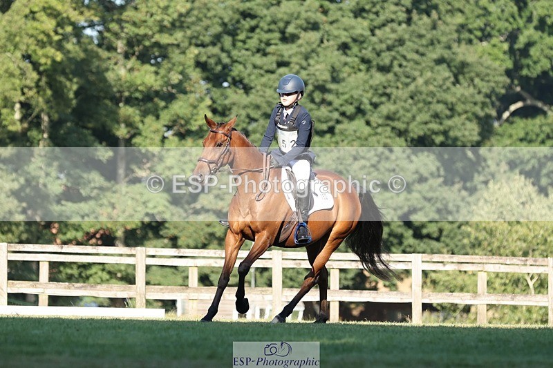 250823A-084654-25778 - Arena D