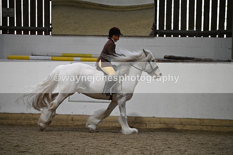 WJ7_3689 - Class 16 Ridden Coloured/ Odd Coloured