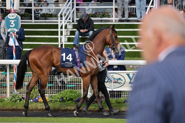 yr13052022r7-3 - Race 7 5.15pm Longines Irish Champions Weekend Stakes