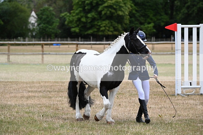 WJ6_4396 - Class 10 Coloured In-hand