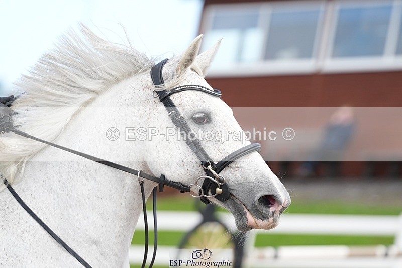 250911-141653-02250 - Cls 13 1.05m Amateur Champ