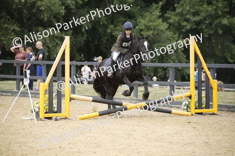 20250622-4689 - 50cm