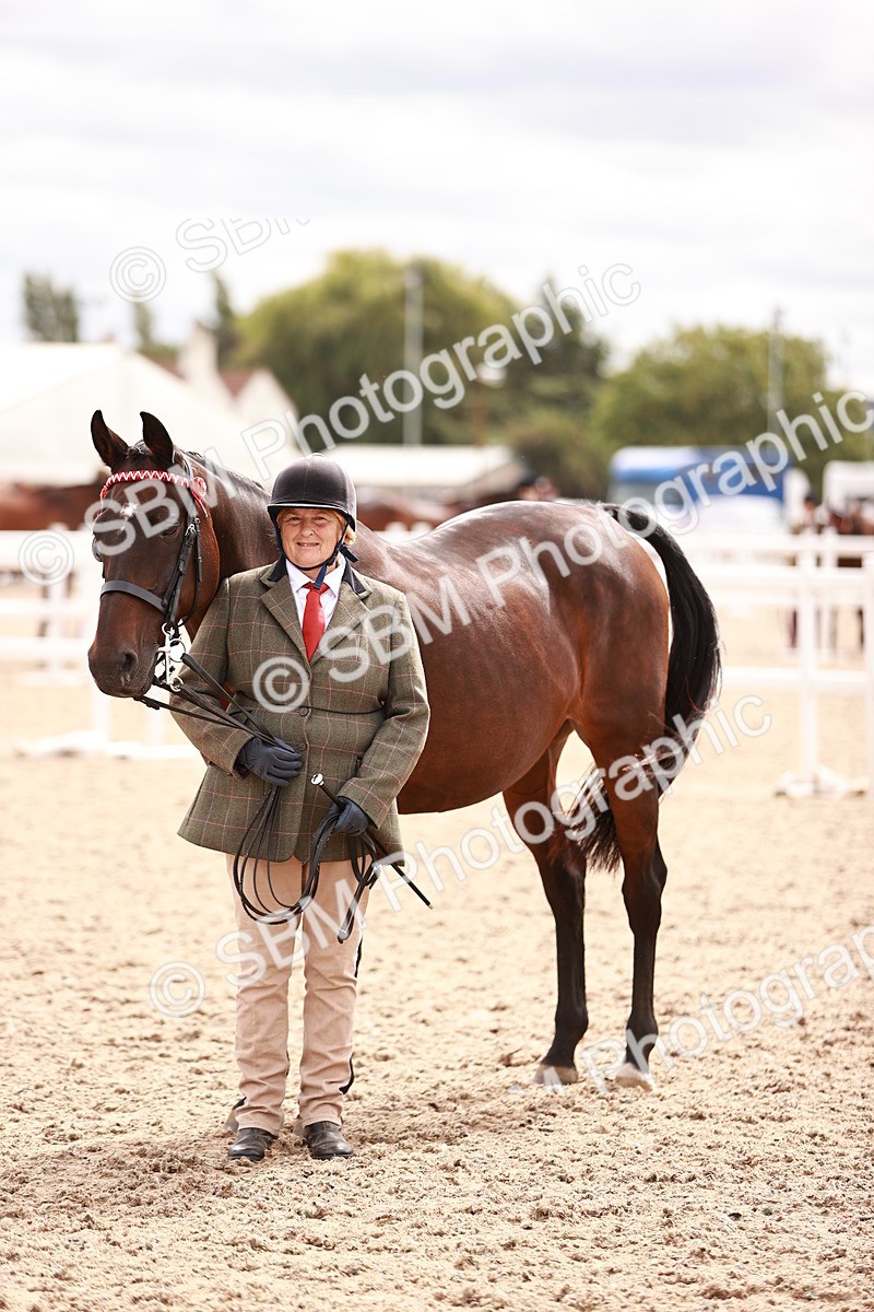 SBM_16328 - Class 413 - Best Condition - Adult