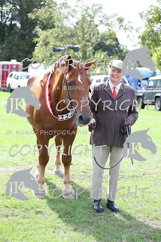 APP_3269 - Class 4 Veterans