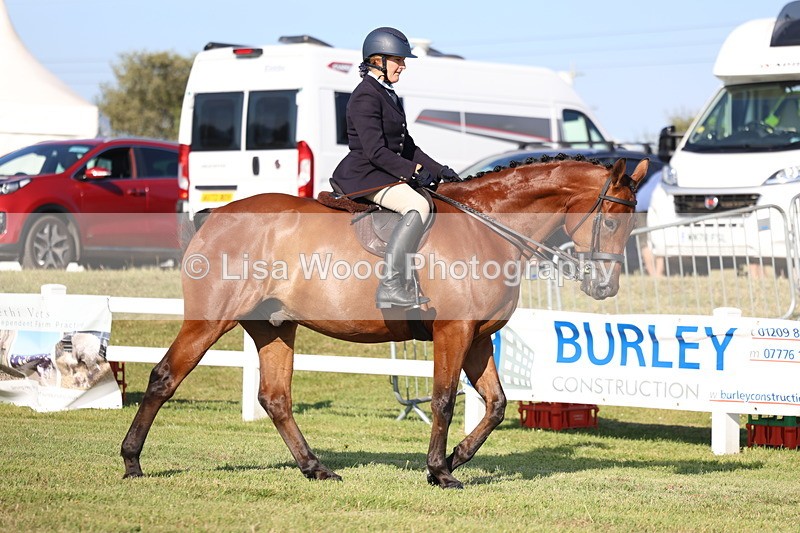 3E7A5233 - Class 2: Rising Star Large Hack/Riding Horse