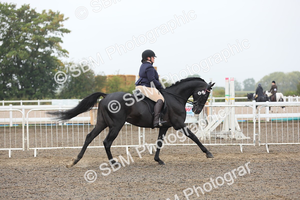 SBM_21248 - Class 805 - Ridden Veteran Horse