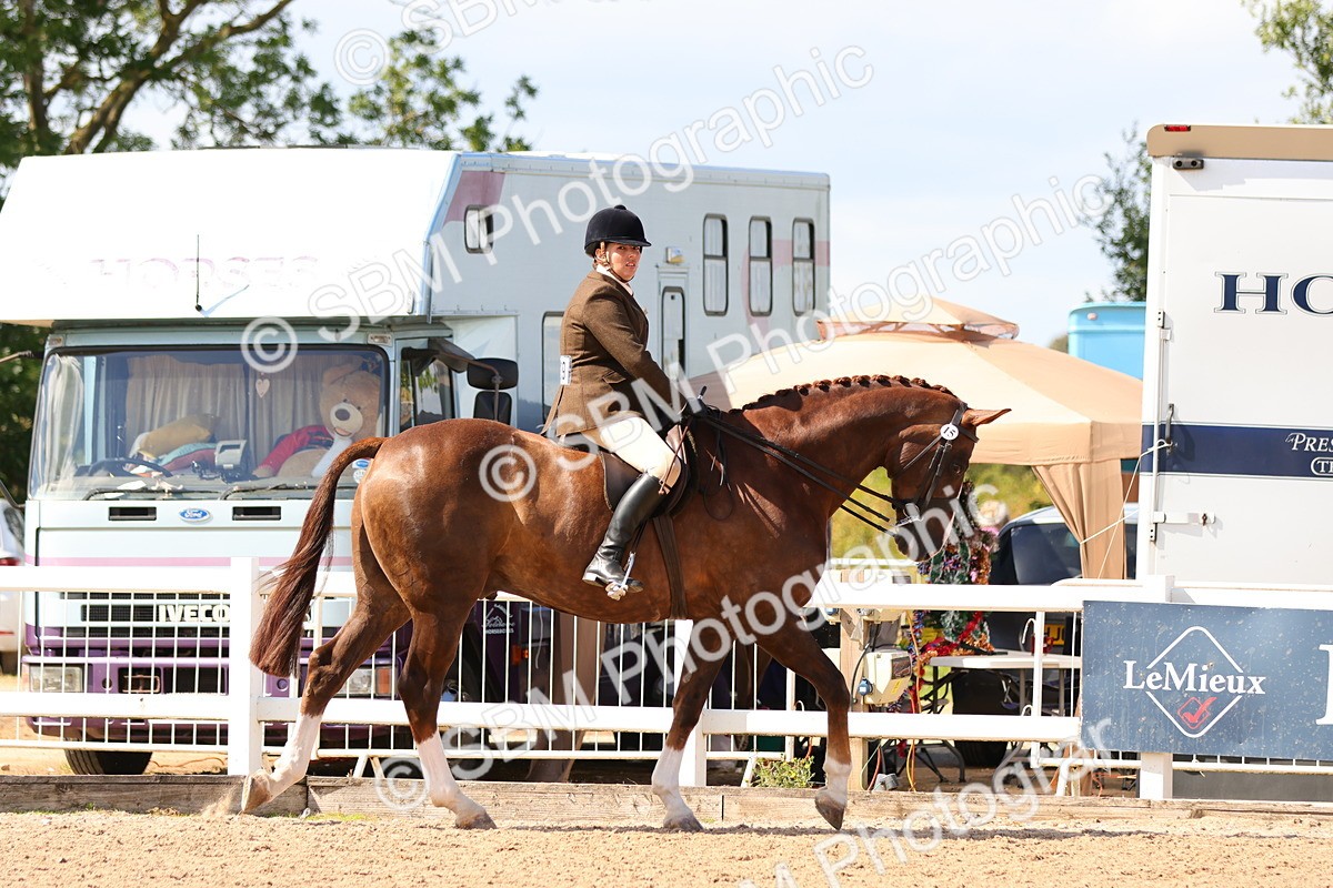 SBM_13434 - Class 212 - Ridden Hunter  - Large