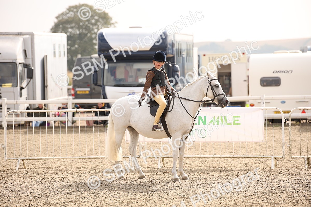 SBM_11666 - Class 404b Junior Working Veteran- 40cm(20+)