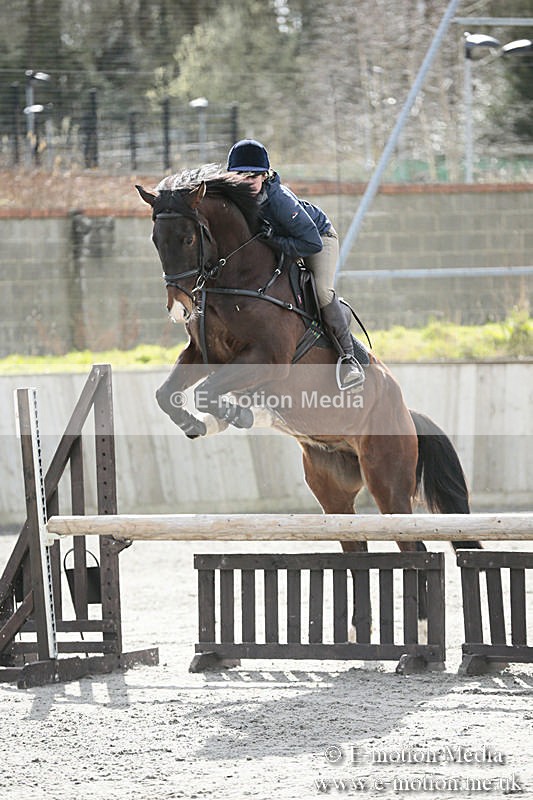 BVRC SJ 170319 634 - Bourne Valley Riding Club Showjumping 17/03/19