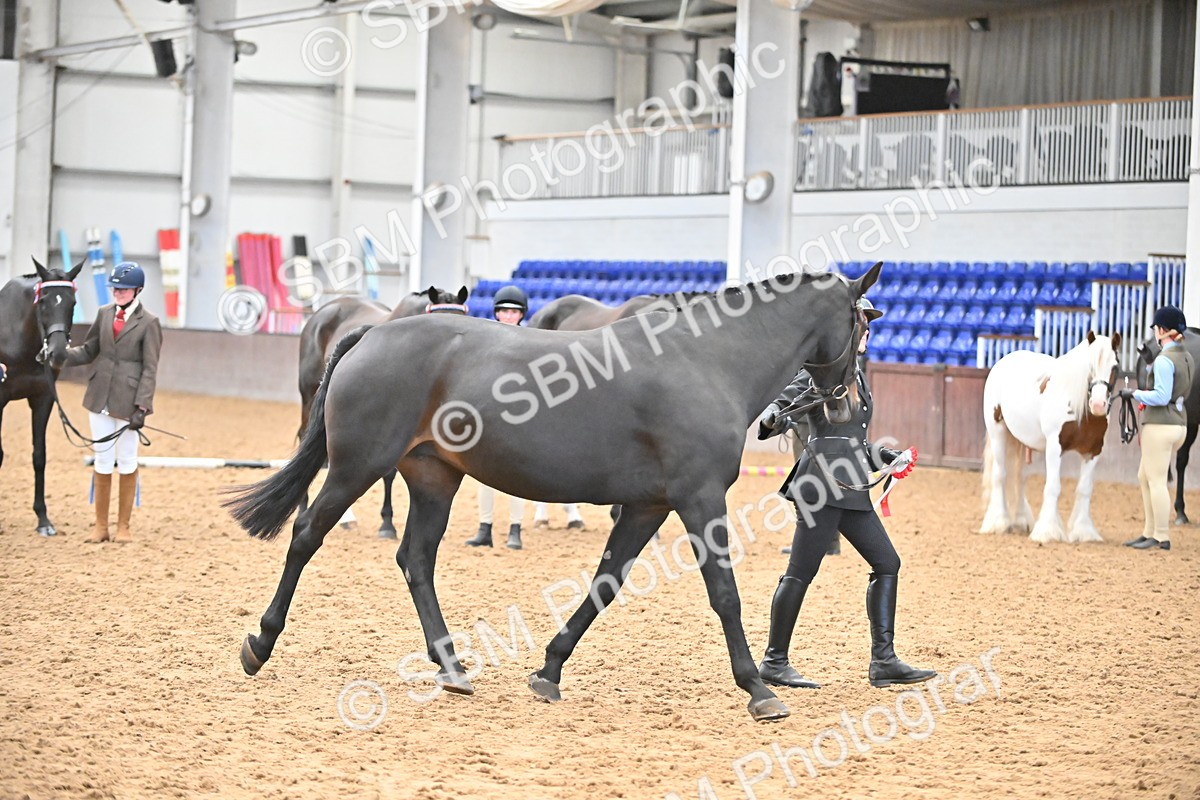SBM_000763 - Class 16 - In Hand Showing Supreme Championships