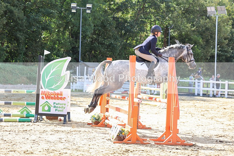 3E7A0707 - Class 4: Senior British Novice/90cm open