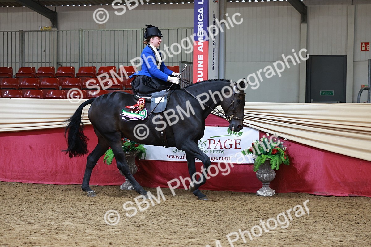 SBM_13647 - Class 105 - Ridden Costume - Side Saddle