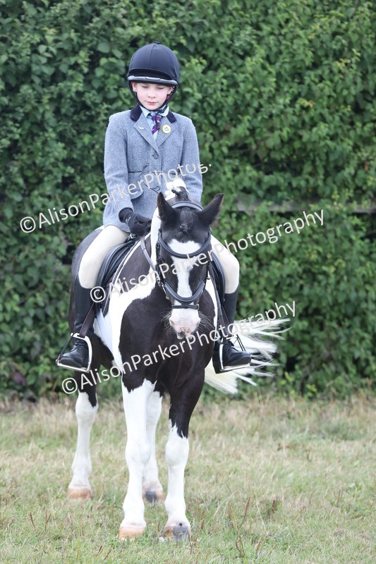 20250831-4286 - Class 20 - Ridden Coloured