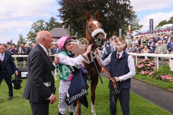 yr17082022r2-50 - Race 2 2.25pm Tattersalls Acomb Stakes