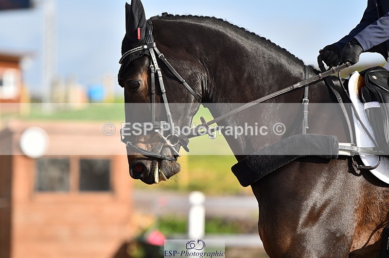 231104A-111626-01505 - Cls 5 Novice 37A