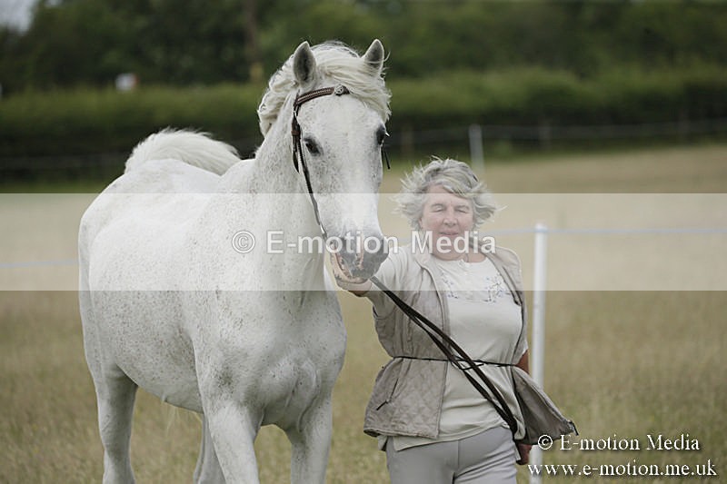 B230619-0480 - Bourne Valley Riding Club Summer Show 23/06/19