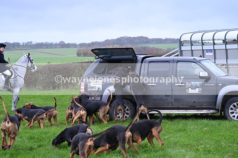 WJ7_8876 - Meet Staff & Hounds
