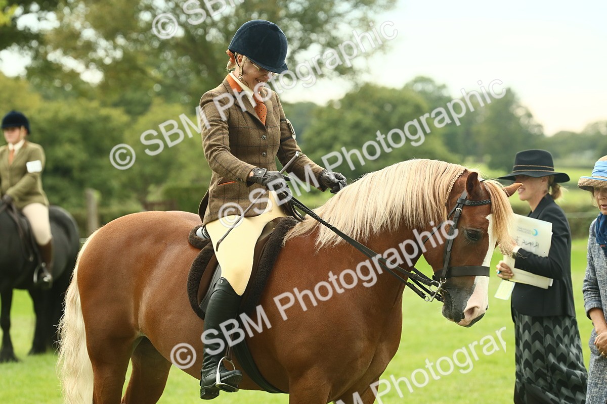 SBM_71956 - S60 - Mountain & Moorland Ridden Large Breeds