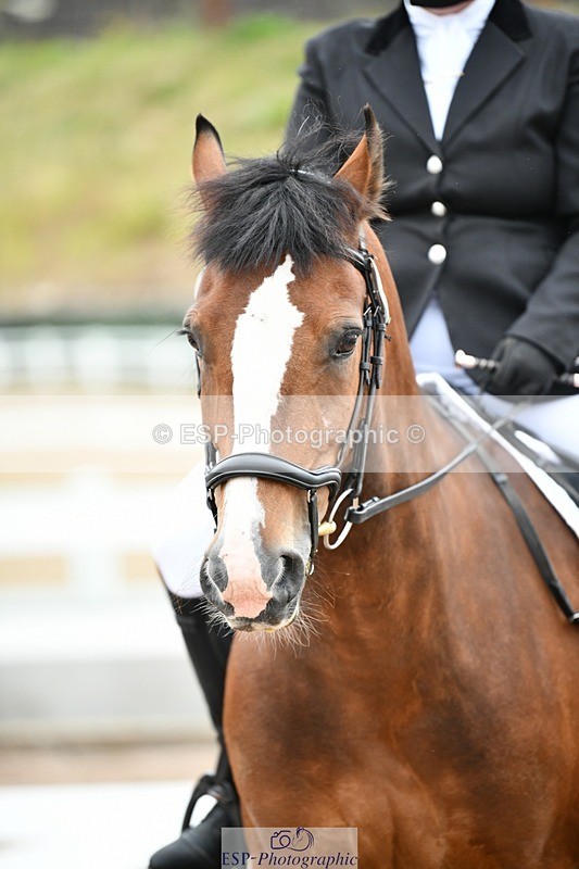 250705-092615-00002 - BRCP1 Sections BRCP1SNR, BRCP1JNR 09-30 to 10-40