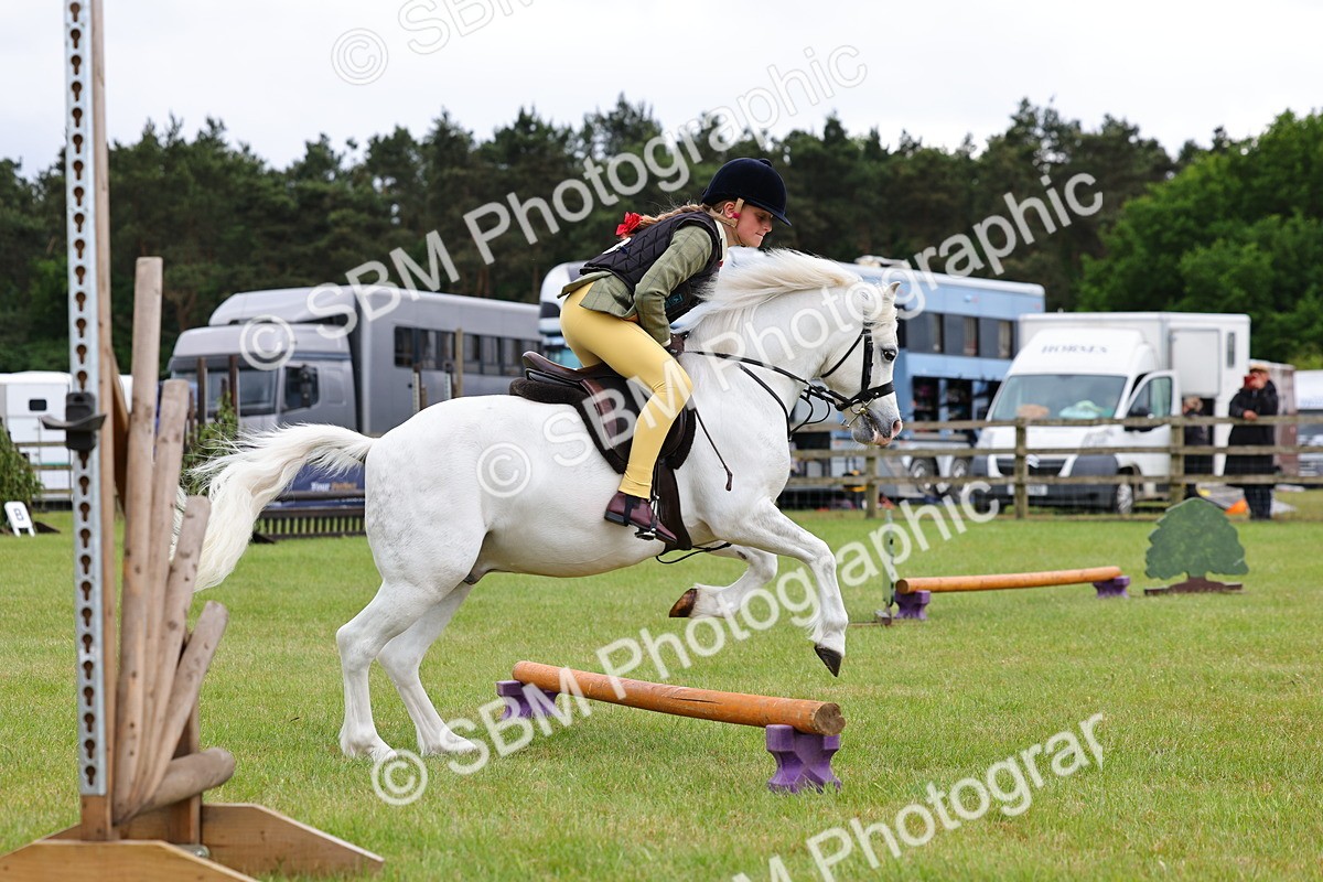 SBM_08758 - Class 42-43 - LIHS BSPS Heritage Working Sports Pony