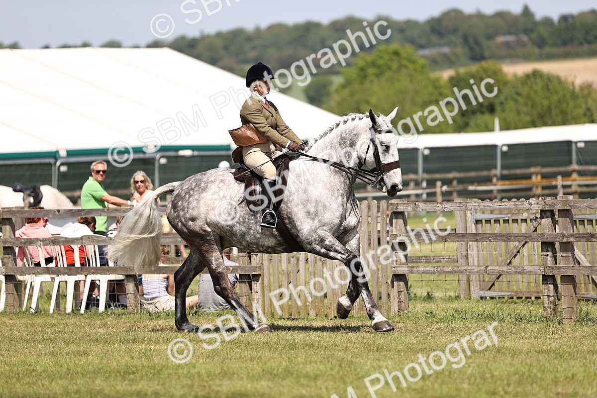 SBM_16138 - Class 79-80 - LIHS BSHA Rising Star Ridden Hunter