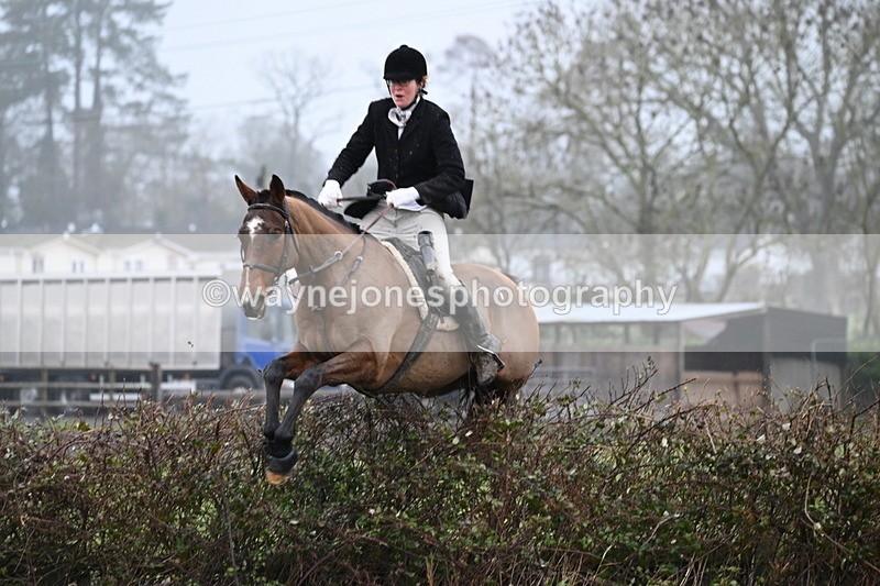 WJ6_6751 - A Camera