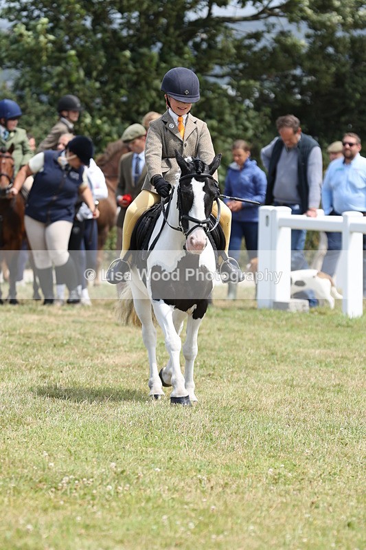 JPP_1793 - Class 18: Tiny Tots Working Hunter Pony