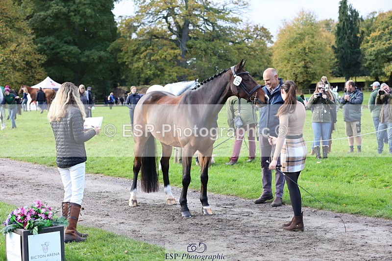 251026A-101938-22886 - D-354-Poppy.Burner