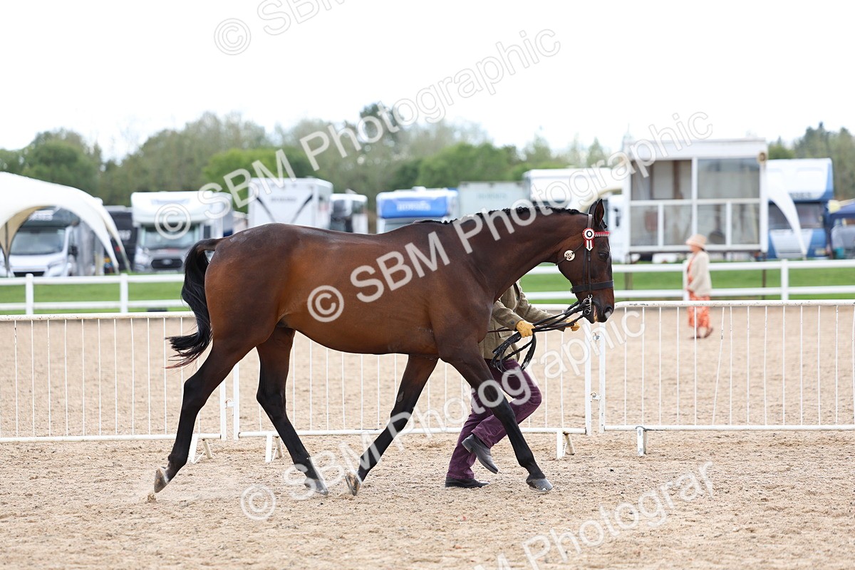 SBM_15261 - Class 313 - IH Retired Racehorse