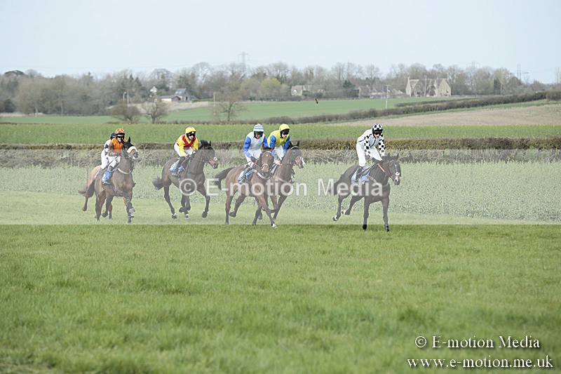 PtP 230319 236 - VWH Hunt Siddington Point-to-Point Racing 23/03/19