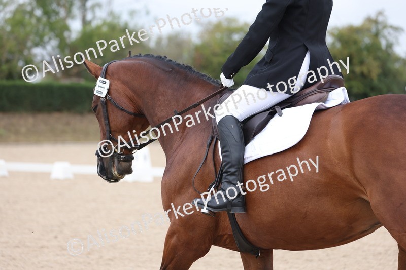 20250820-0488 - Class 14 - Prelim 5