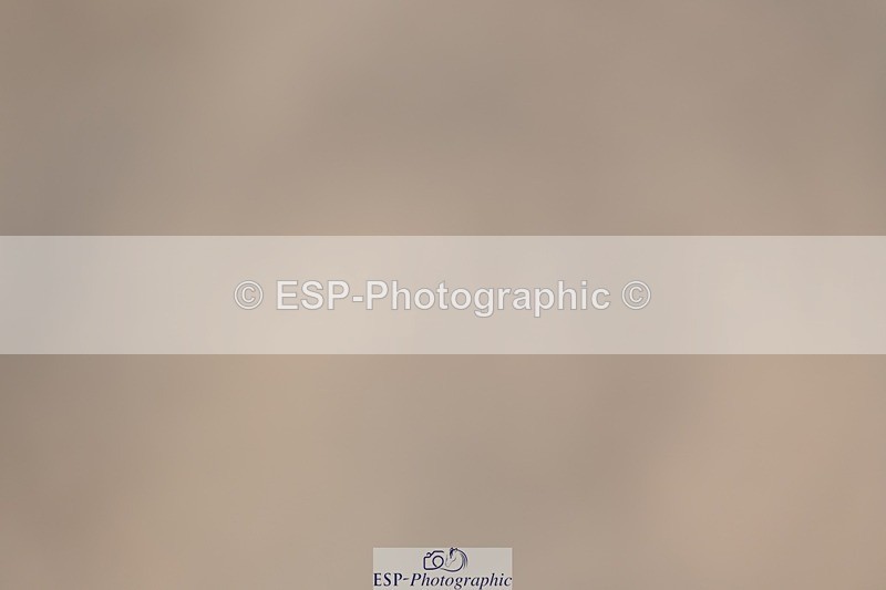 230811-124644-01399 - Cls 4 Adv Medium Silver