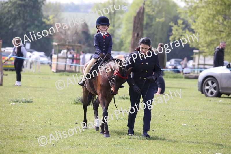 20260426-2586 - Class 31 - Leading Rein