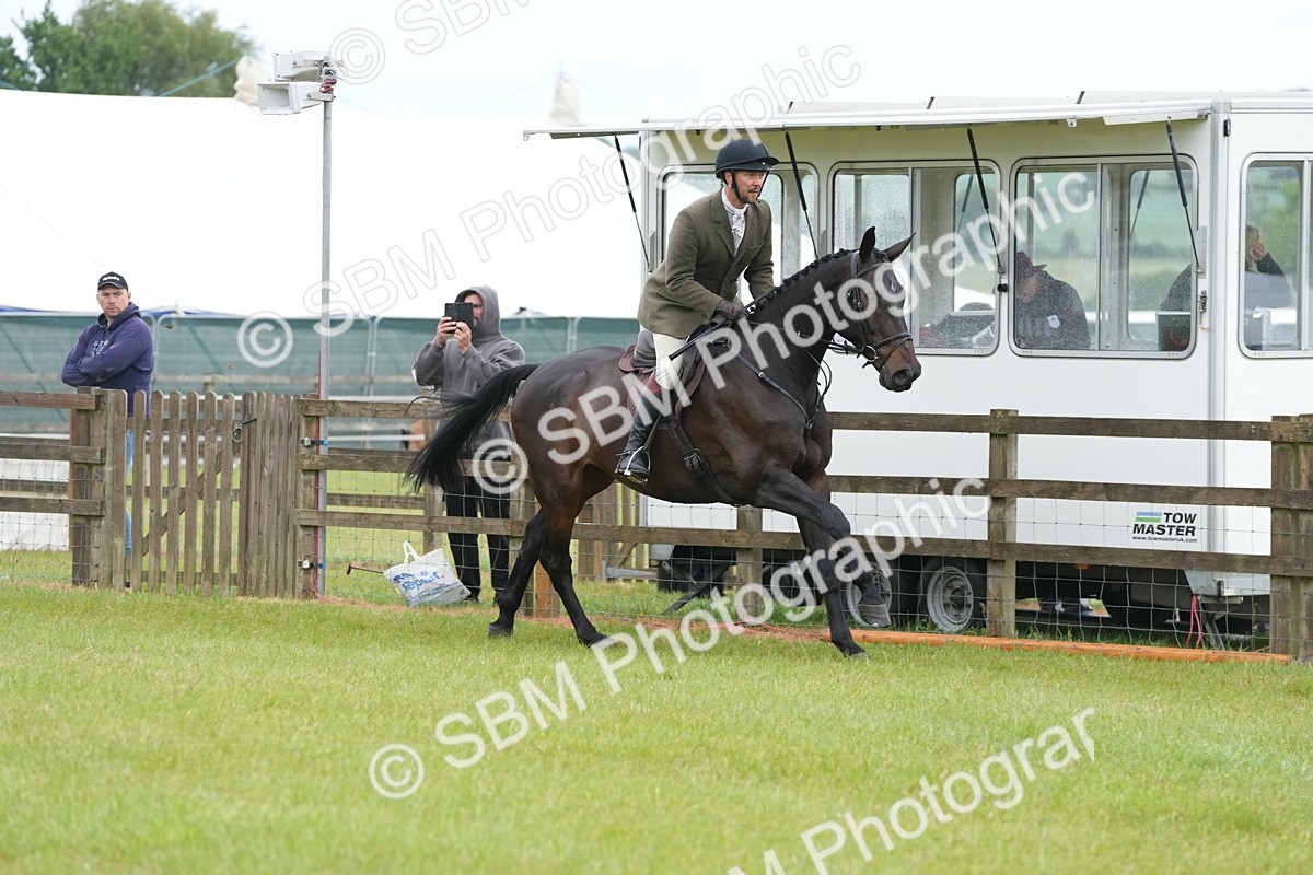 SBM_12696 - Class 97-98 - LIHS BSHA Rising Star Working Show Horse Hunter