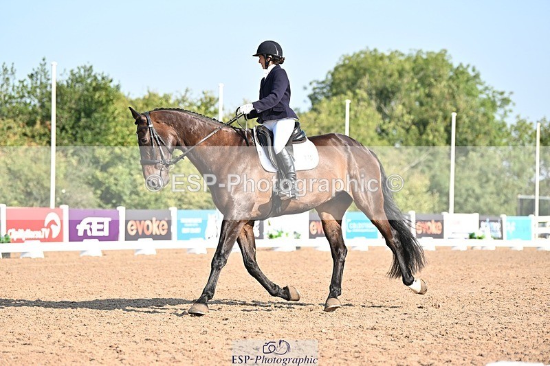 250816-092147-02608 - 112-Carmen.ShahAnnsfort.Lance