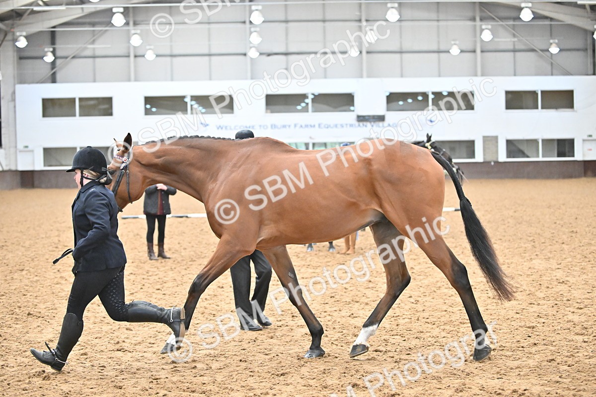 SBM_000230 - Class 7 - ROR Tattersalls In Hand
