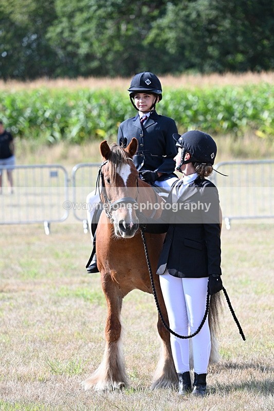 WJ7_2746 - Class 8 Ridden Tack & Turnout