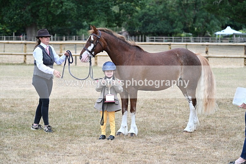 WJ7_9375 - Prettiest Mare Champs