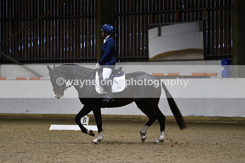 WJ5_8642 - Class 5 Novice Test 3