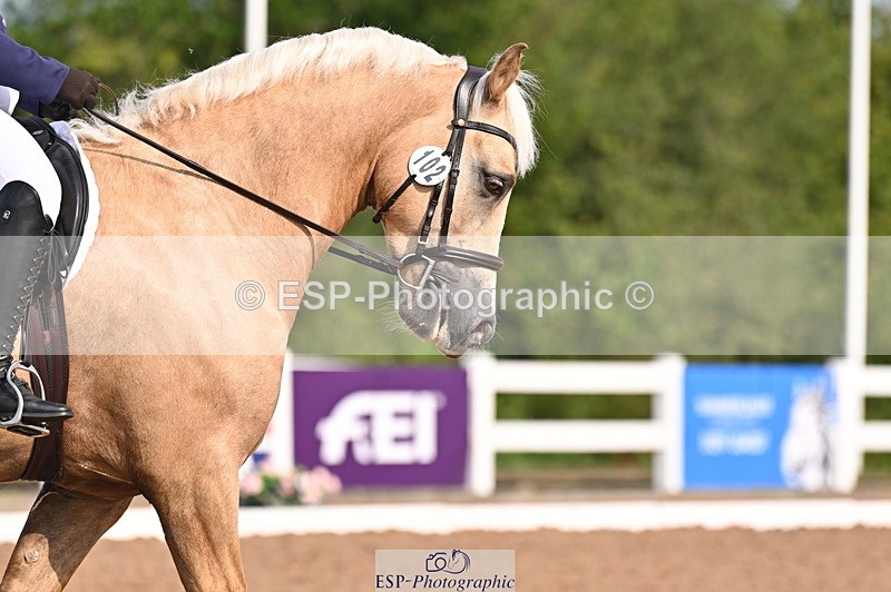 240817A-094606-06716 - 102-Chloe.Walton-Haytors.Lord.of.the.Dance