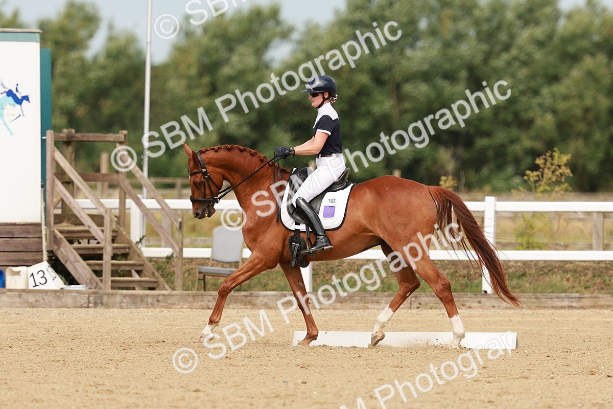 SBM_021602 - Class 13 - N5