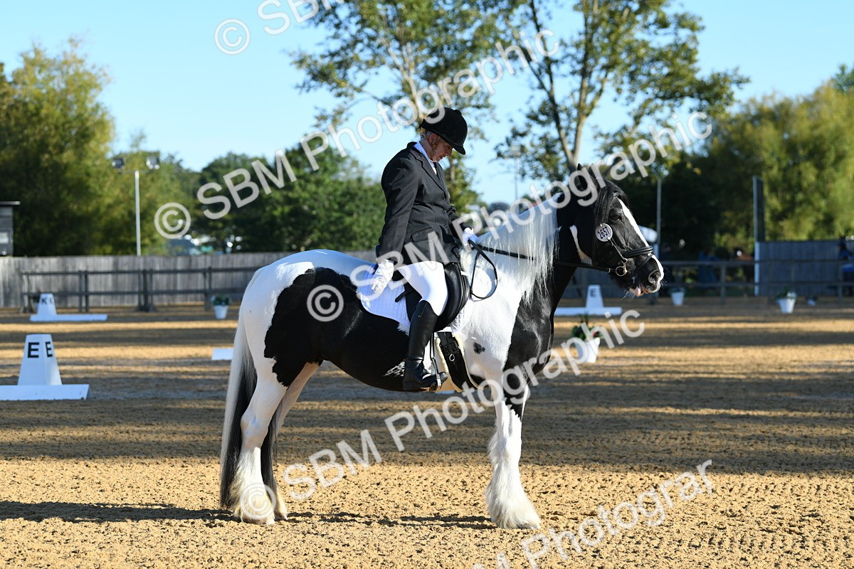 SBM_14448_D4 - Small Tour Championship - Intro B - Theresa Huttom