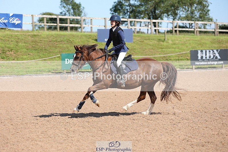 240714A-161104-02868 - Cls 19 A&B 80cm