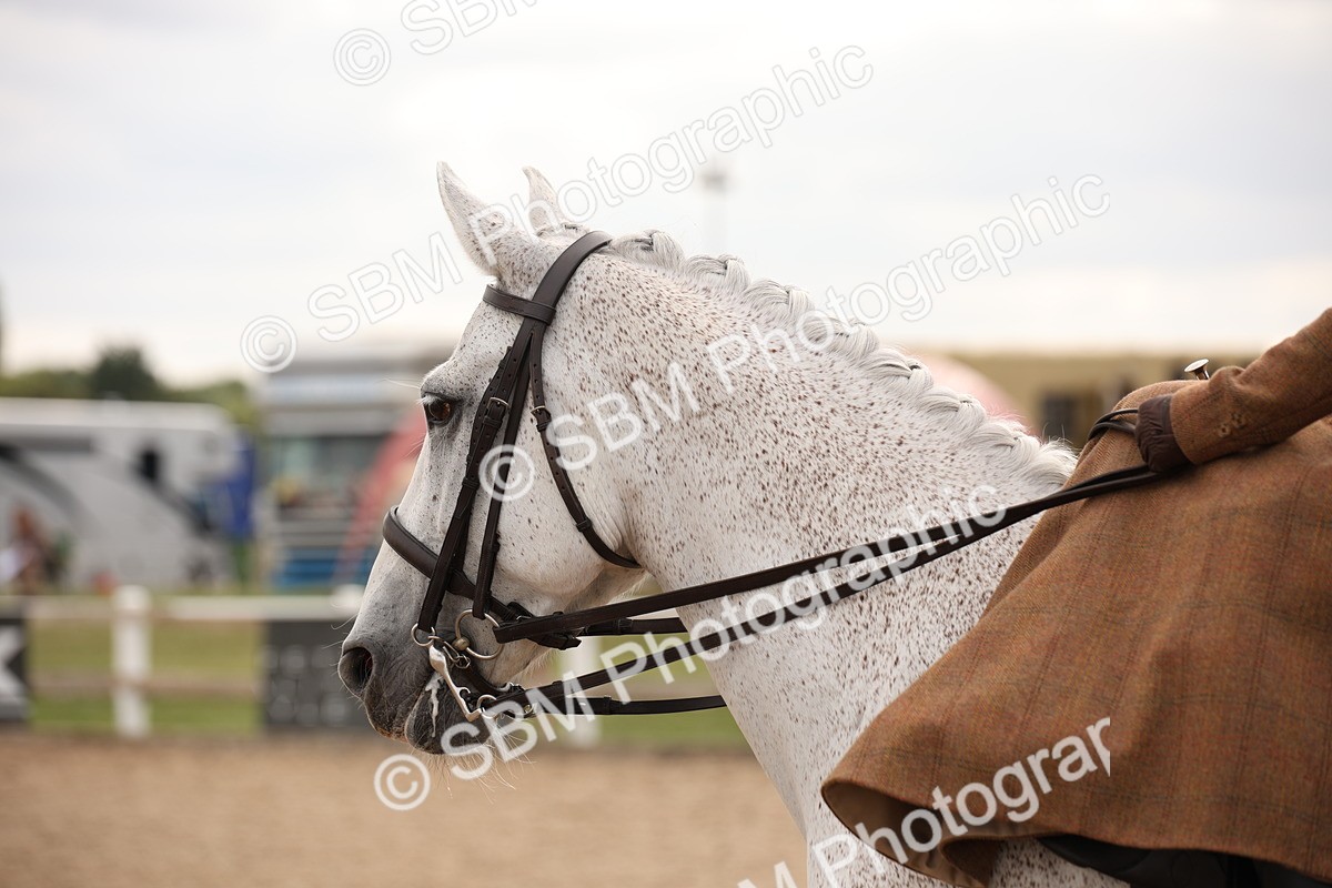 SBM_05411 - Class 22 SSA Equitation