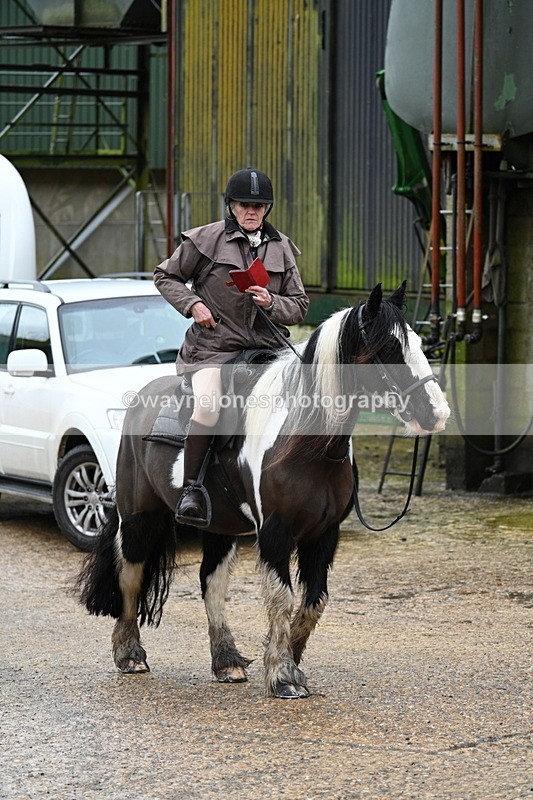 WJ7_8755 - Berks & Bucks - Rowles Farm 15-02-26
